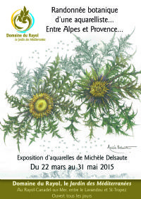 Randonnée botanique d'une aquarelliste ... Entre Alpes et Provence .... Du 22 mars au 31 mai 2015 à Rayol-Canadel-Sur-Mer. Var.  09H30